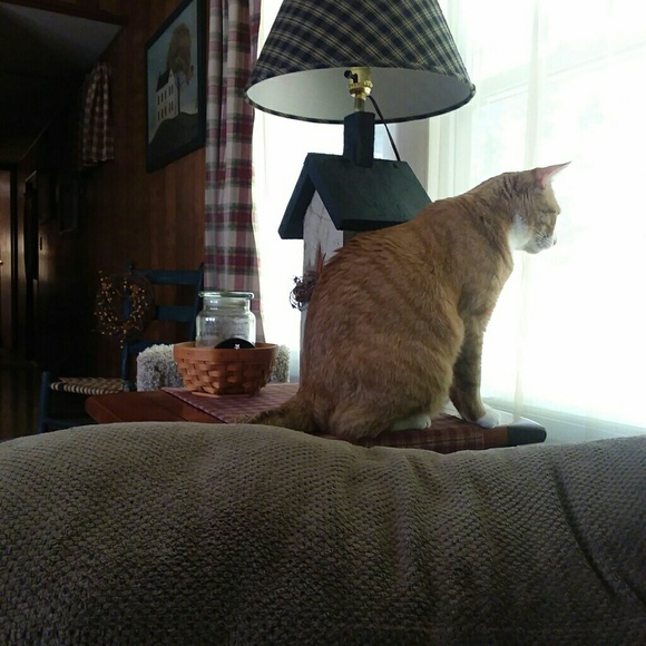 Meet your Posher, Keri - Picture 3 of 4